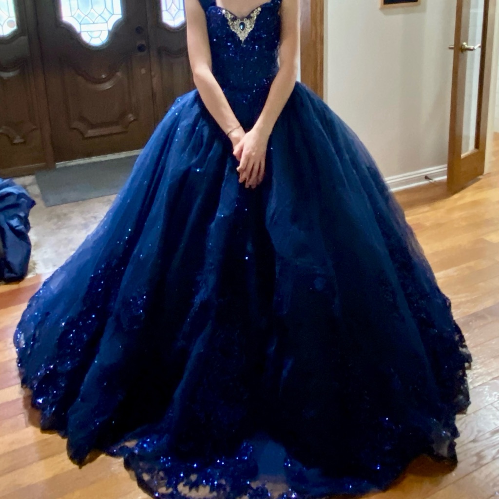 Navy Blue Ball Gown Size 2- Quinceaera Dressbrand New!